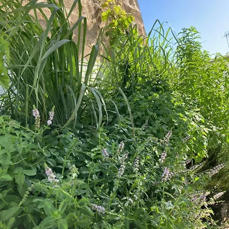 Corte Baracca B&B Suite 3*