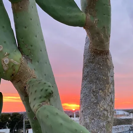 Corte Baracca Couette-café 3*